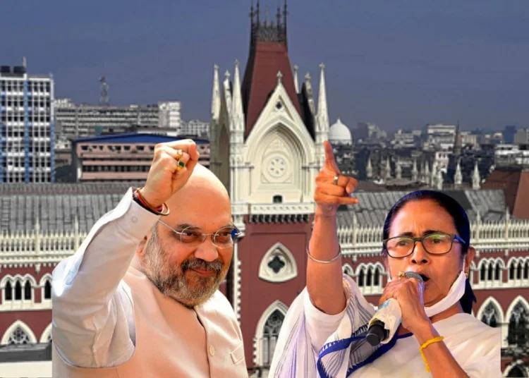 BSF personnel monitoring the India-Bangladesh Border fencing in West Bengal.